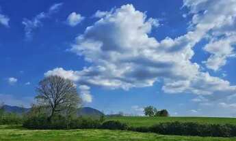Imagem 6: Terreno barato, doc ok, acesso fácil e pronto pra construir