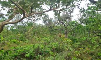 Imagem 3: Fazenda 2.750 hectares valor 8.250.000