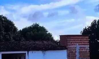 Imagem 5: Térrea para venda possui 110 metros quadrados com 1 quarto em Zona Rural - São José de Mip