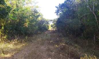Imagem 6: Área com 13 hectares para sítios ou loteamentos, a 23 km de Teresina após o Rodoanel