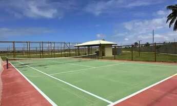 Imagem 3: Lote mares Maluy