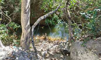 Imagem 2: Vendo ótima chácara no núcleo rural quintas do Maranhão