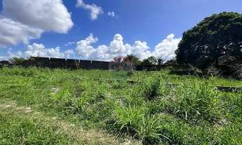 Imagem 3: OPORTUNIDADE - Área 1.000 m² - Chácara Mucuri /Massagueira ( Rodovia AL 101 ) - Marechal D