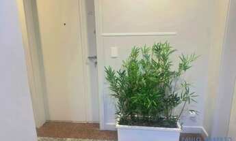 Imagem 7: COMERCIAL - MOEMA ÍNDIOS - SP