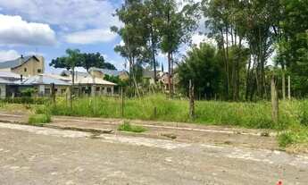 Imagem 2: Terreno para Venda em Nova Petrópolis, Juriti