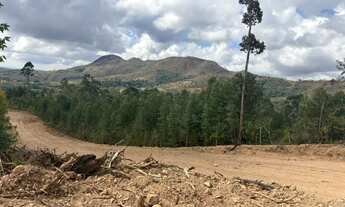 Imagem 7: Terreno de 1000m² em Mairinque na divisa de São Roque Terreno com vista para sua Chácara
