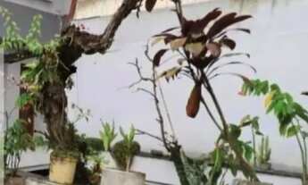 Imagem 7: COMERCIAL - CAMPO BELO - SP