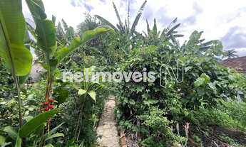 Imagem 6: Área / Lote com casa Paquetá