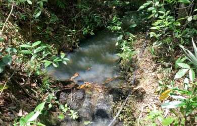 Imagem: Terreno rural 7.8ha, casa antiga, barracão