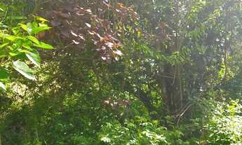 Imagem: 4 mil mts quadrados a 1200 mts da rodovia