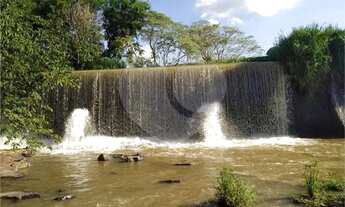 Imagem 7: Sítio à venda em Centro - SP