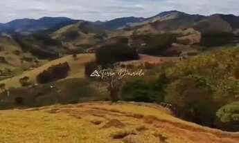 Imagem: Terreno Rural à Venda em São Bento do