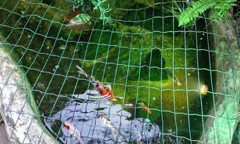 Imagem 5: Temporada em Angra c/vista e próximo de praias