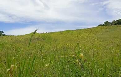 Imagem 5: Seu Lote de 1000m² em Ibiúna Compre Agora