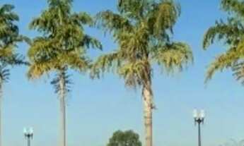 Imagem 7: Lote em condomínio em Condomínio Terras de São José - Condomínio Terras de São José - Itu