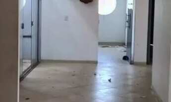 Imagem 4: Jardim América Galpão / depósito com 5 vagas na garagem