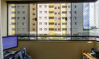 Imagem 4: Samambaia (Norte