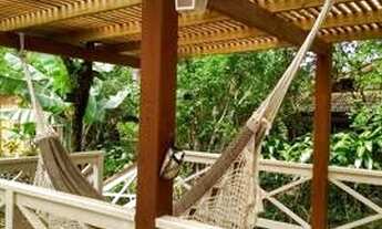 Imagem 2: Imagine um recanto, do lado da praia do Campeche em local reservado cheio de vida e nature