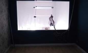 Imagem 5: Ponto comercial/Loja/Box para aluguel tem 408 metros quadrados em Vila Mathias - Santos