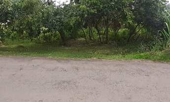 Imagem 4: Lote/Terreno para venda tem 511 metros quadrados em Bom Pastor - Igrejinha - RS