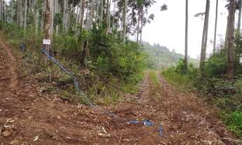 Imagem 2: Sítio 10 hcts, com escritura, no Morro Grande, Rolante
