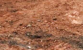 Imagem 6: Terreno para Venda em Florianópolis, Trindade