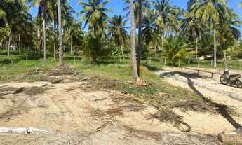 Imagem 5: Terreno em Flecheiras - Trairí - Ceará - 300m2 de área com Vista Mar