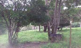 Imagem 4: Oportunidade Formar Seu Sitio Dos Sonhos!!! 11 Hectares 198.500