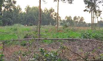 Imagem 7: Sítio 10 hcts, com escritura, no Morro Grande, Rolante