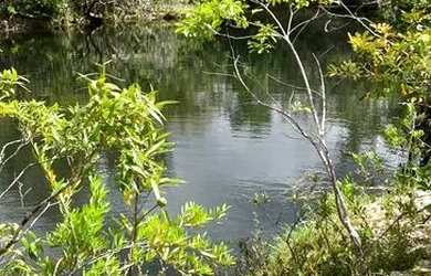 Imagem 12: Alto Paraíso de Goiás - GO - Chácara 5.88he