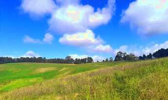 Imagem 6: Terreno para venda em Cotia - SP