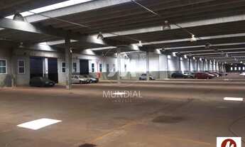 Imagem 6: Salão/Galpão (salão - térreo