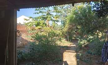 Imagem 3: Terreno com duas casas