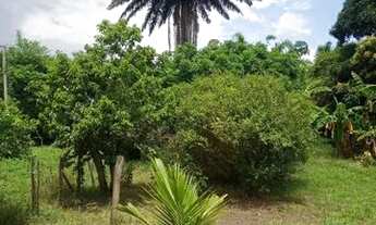 Imagem 2: Sitio em Nova Iguaçu