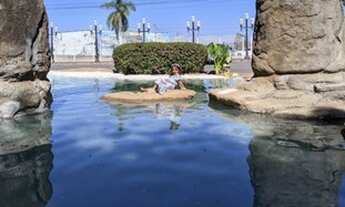 Imagem: Aptos para locação lacqua Di roma