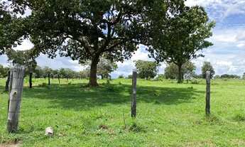 Imagem: Fazenda 125 alqueires 72 km de Palmas