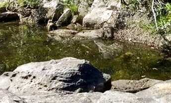 Imagem 6: Alto Paraíso de Goiás - GO - Chácara 5.88he