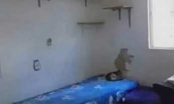 Imagem: CASA A VENDA NO TELEGRAFO