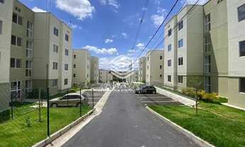 Imagem 1: Alugo apartamento bairro trevo 900,00. Telefone pra contato * Matheus