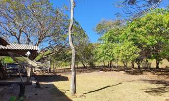 Imagem 2: Fazenda/Sítio para venda possui 22 Alqueires, entre Palmas e Paraiso