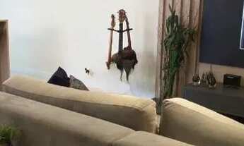 Imagem 3: Apartamento à venda 3 quartos 1 suíte 1 vaga Classic Caminho do Mar - São Bernardo do Camp