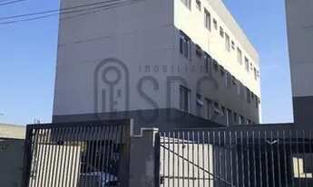 Imagem: Apartamentos - Locação - Guarani - Cod