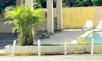 Imagem 3: Casa de condomínio para aluguel possui 180 metros quadrados com 3 quartos