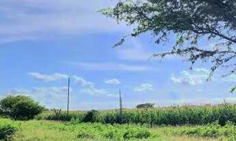 Imagem 4: Terras em Irecê - BA