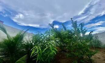 Imagem 2: Aluga-se chácara para temporada, ótima localização