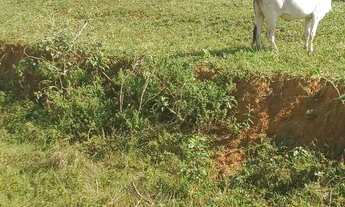 Imagem 3: Sitio em São Lourenço da mata