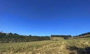 Imagem: Lote/Terreno para venda tem 500 metros quadrados