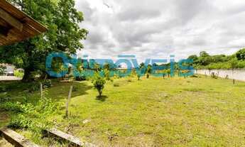 Imagem 7: QUATRO BARRAS - Chácara - Santa Rita