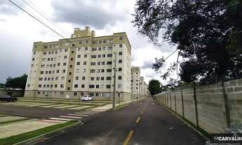 Imagem 4: Apartamento para Locação em Pinhais, Atuba, 2 dormitórios, 1 banheiro, 1 vaga