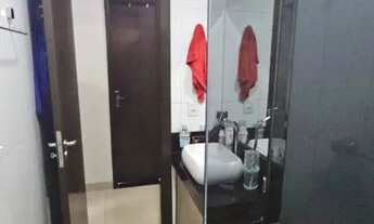 Imagem 7: Apto Residencial Beira Rio Porto 3 quartos e dois banheiros valor 295mil reais